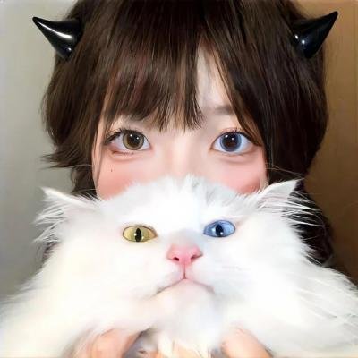 五台山儿女英雄传